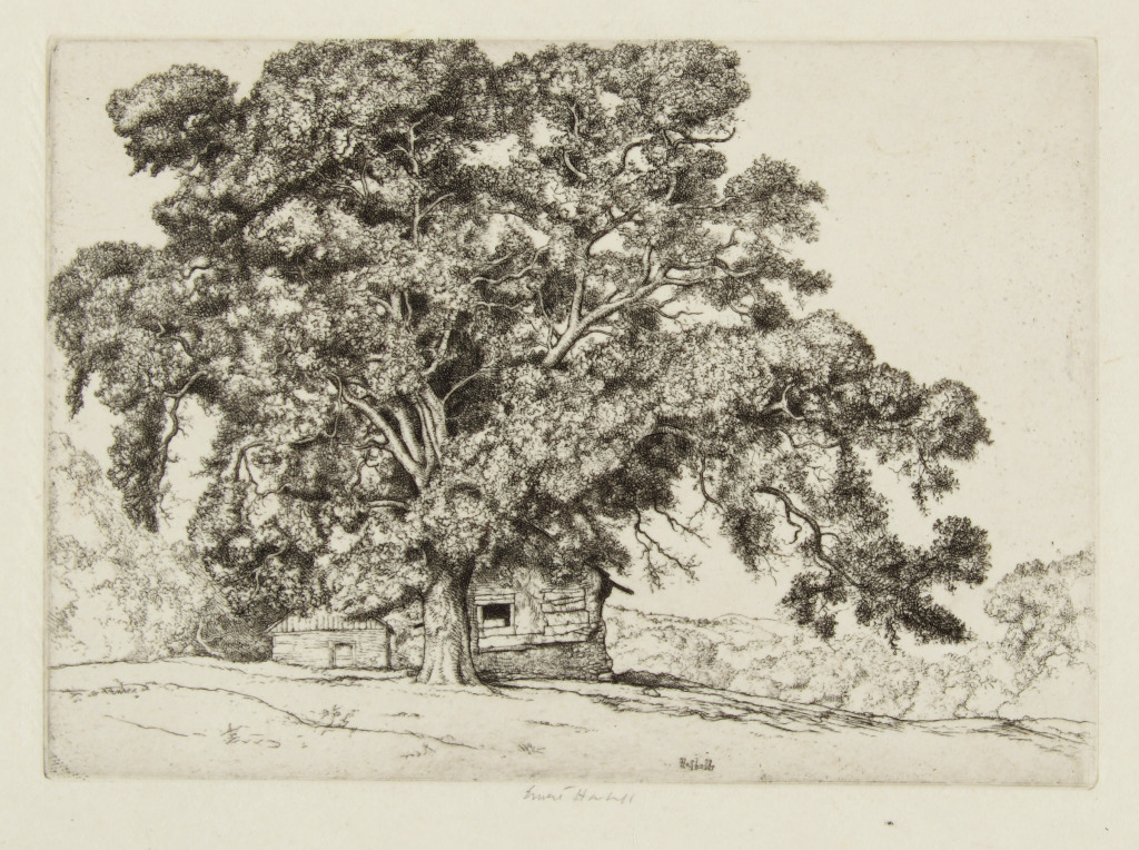 Paper Trees: High Museum of Art Celebrates Tree Studies in American Art