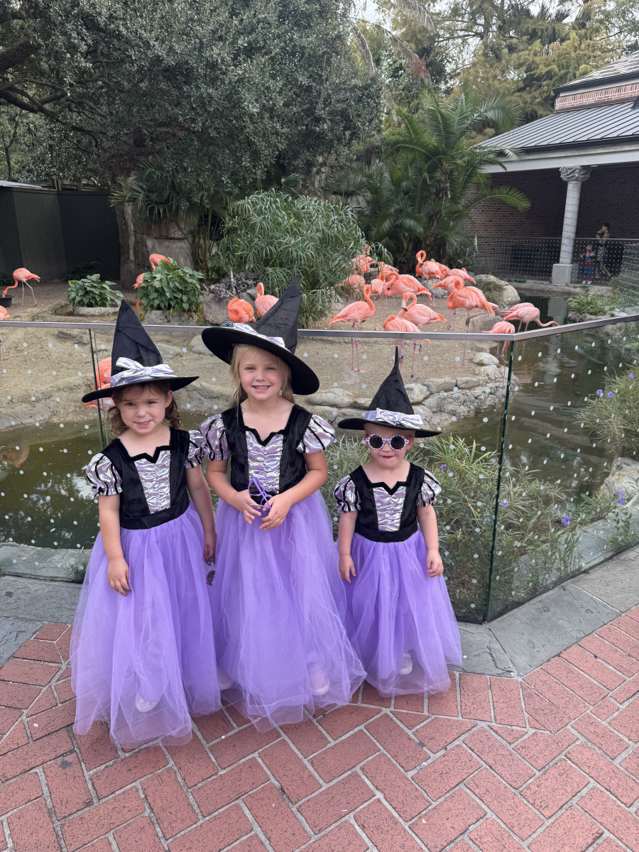 Boo at the Zoo Returns October 16–18 with New “Li’l Boo” for Little Ones