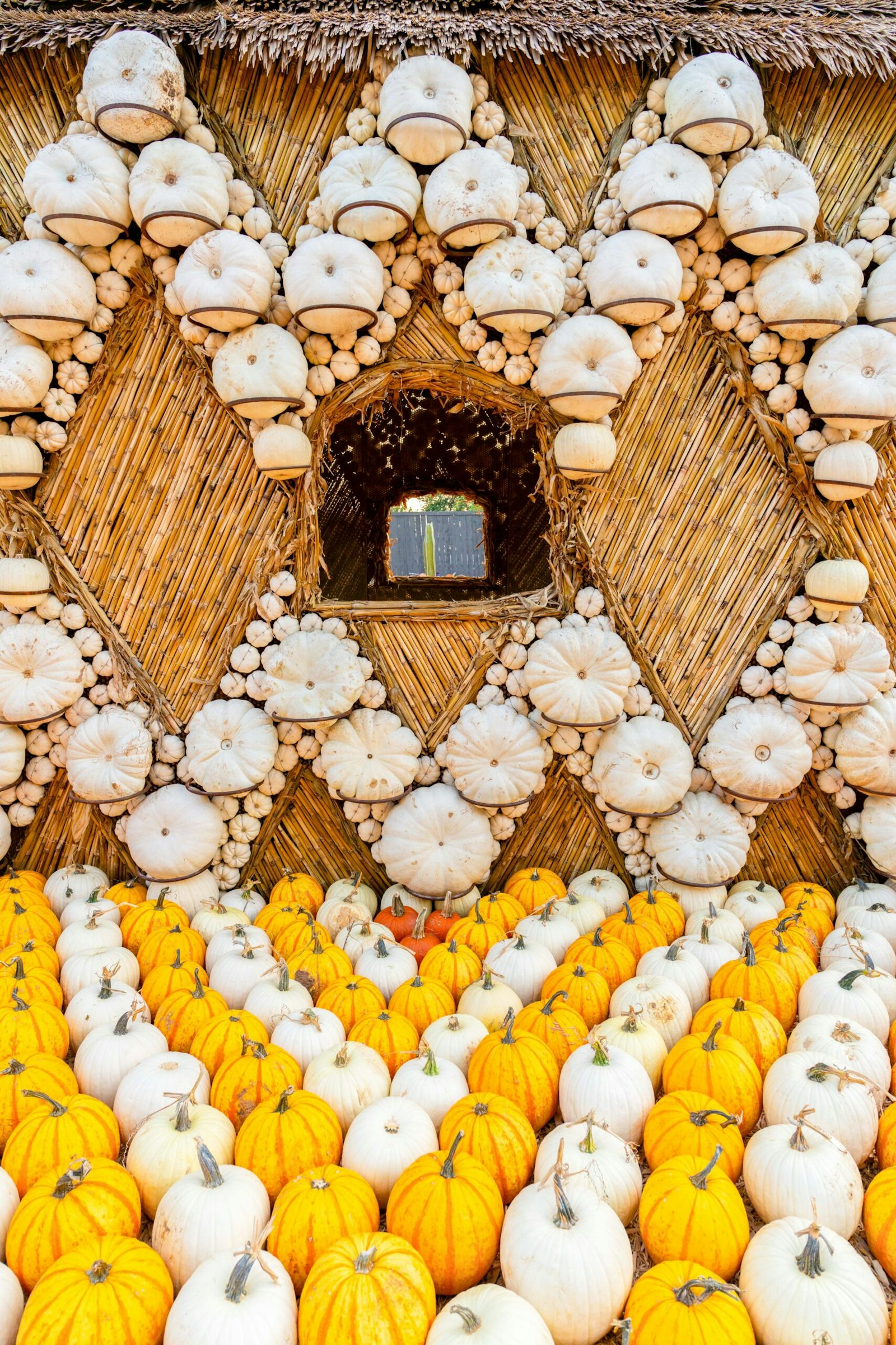 Autumn at the Arboretum: 100,000 Pumpkins Turn Dallas Into a Living Canvas