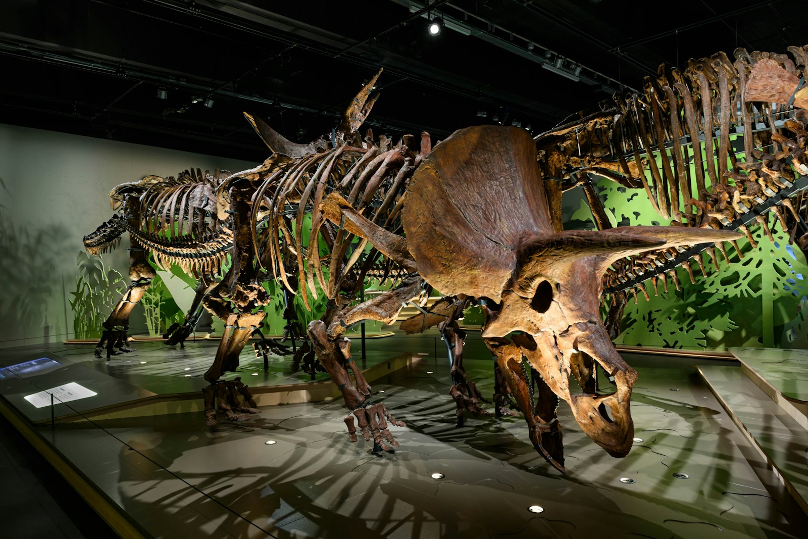 The March of the Triceratops: A World-First Dino Herd Heads to Dallas in Summer 2027