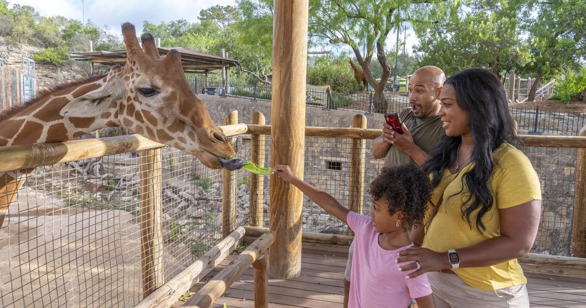 El Zoológico de San Antonio, entre los mejores del mundo según Condé Nast Traveler