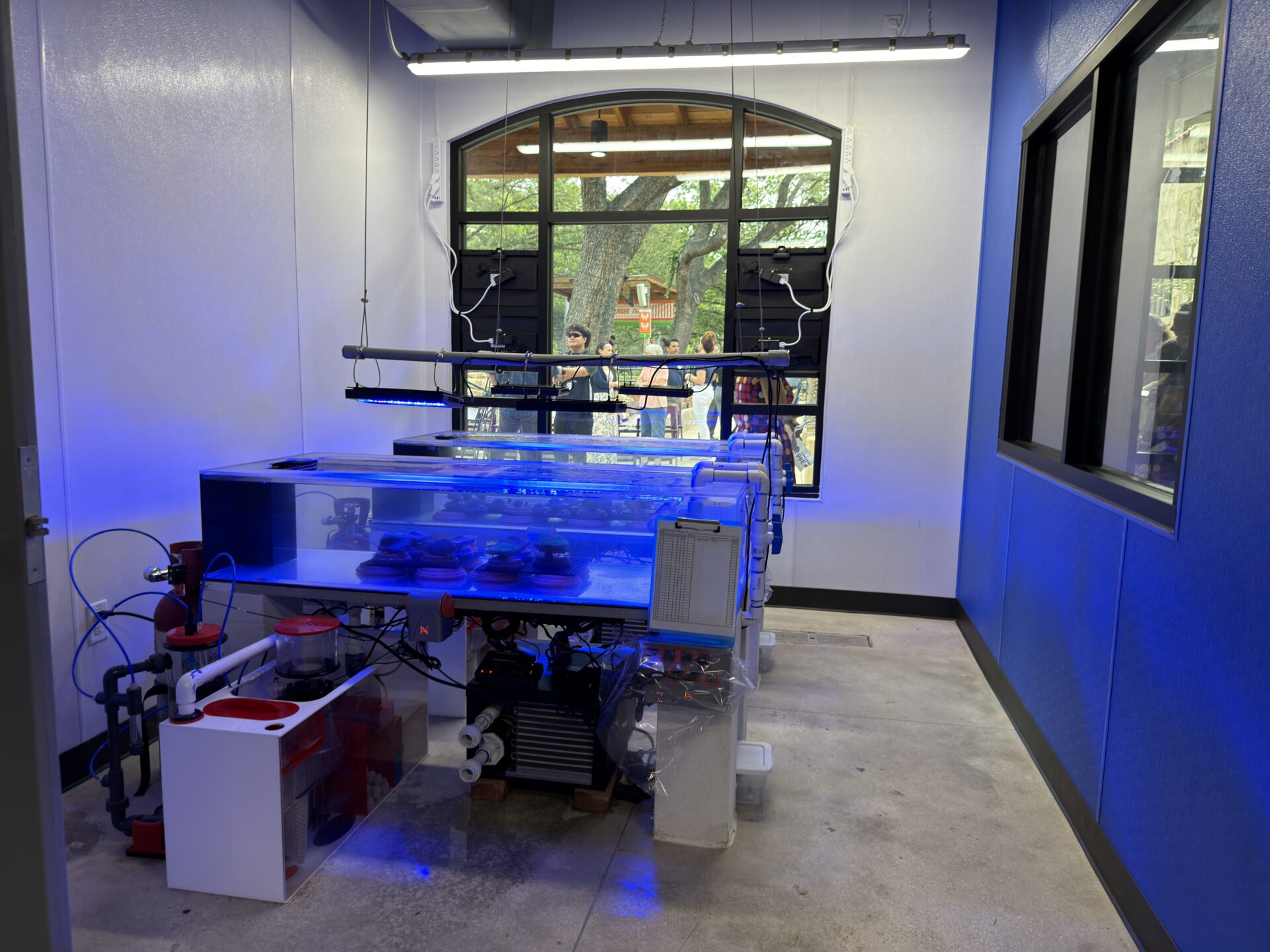 San Antonio Zoo Opens State-of-the-Art Brewer Ocean Conservation Lab on World Reef Awareness Day