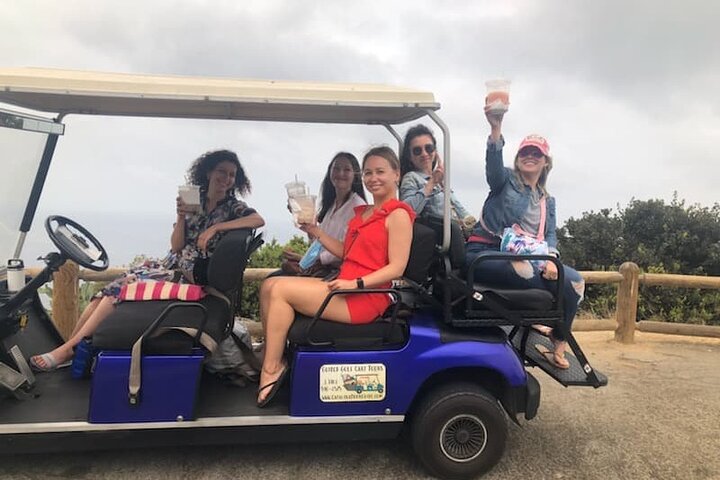 Reseña del tour en carro de golf por Catalina Island: descubre Avalon como un local