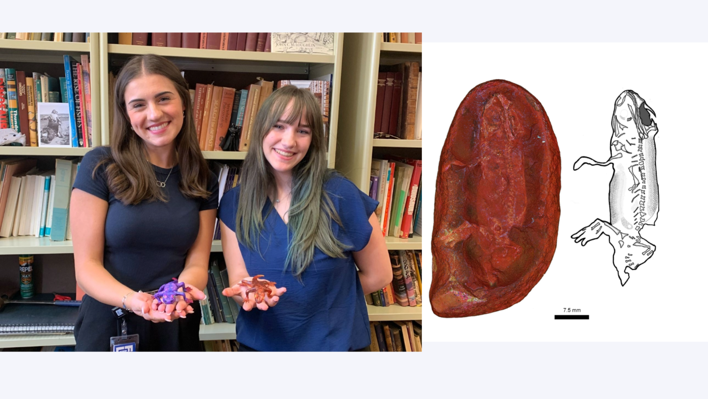 Two Young Scientists in Chicago Discover a New Species — and Name It After Their Moms
