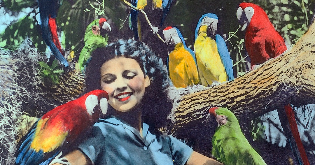 La nueva exposición ‘Floridiana’ del OMA celebra el encanto juguetón de la Florida de mediados de siglo