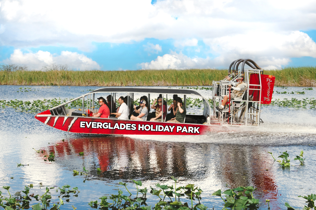 Florida Everglades Airboat Tour Review: Wild Florida Up Close